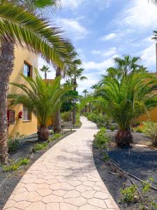 a walkway with palm trees in front of a building at B-Rent Oasis Emma's Suite - 5 People in Corralejo