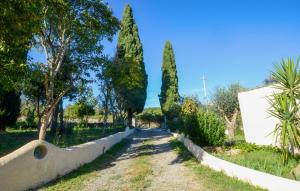 4 Bedroom Stunning Home In Roccastrada في روكاسترادا: مسار عبر حديقة بها أشجار السرو