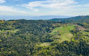 4 Bedroom Stunning Home In Roccastrada في روكاسترادا: اطلالة جوية على تلة فيها اشجار ومنزل +14 صورة