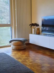 a living room with a flat screen tv and a chair at Ferienwohnung Grüne Boje in Bullay