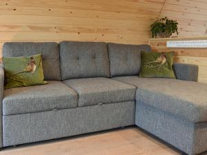 eine graue Couch mit zwei Kissen in einem Zimmer in der Unterkunft Hayfield Haven-Uk40691 in Crowhurst