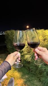 dos personas sosteniendo copas de vino tinto en Flat em Gravatá - Villa Monte Castelo, en Sairé