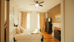 Televiisor ja/või meelelahutuskeskus majutusasutuses Bonaparte Castle