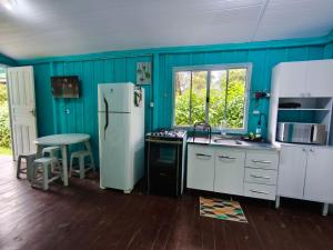 Η κουζίνα ή μικρή κουζίνα στο Simplicidade em meio a Natureza -com acesso ao rio +27 φωτογραφίες