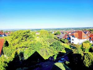 Φυσικό τοπίο κοντά σε αυτό το διαμέρισμα