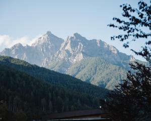 Una vista de una montaña con árboles y montañas. en Hotel Bergkranz, en Mieders 70 fotos más