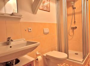 a bathroom with a toilet and a sink and a shower at Gemütliche Fachwerkwohnung mit Hängematte, Elbnah 300m in Magdeburg +23 photos
