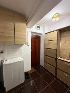 Fotografie z fotogalerie ubytování Roxi Apartament v destinaci Satu Mare