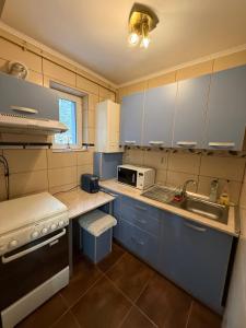 Kuchyň nebo kuchyňský kout v ubytování Roxi Apartament