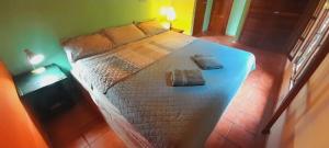 a bedroom with a large bed with two pillows on it at Cabañas DondeJosé in Valle de Anton