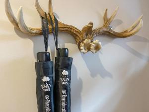 Foto sihtkohas Drumnadrochit asuva majutusasutuse Riverside Cottage galeriist +20 fotot