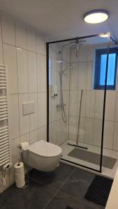 a bathroom with a shower with a tub and a toilet at Lodge Klein Ganseij in Olst +15 photos