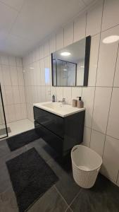 a bathroom with a sink and a mirror at Lodge Klein Ganseij in Olst +20 photos