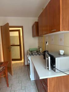 Kuchyň nebo kuchyňský kout v ubytování STARA KUŹNIA Pokoje Gościnne