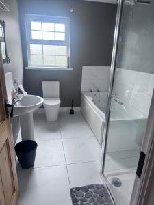 een badkamer met een douche, een toilet en een wastafel bij Clones Town House in Feevaghmore +9 foto's