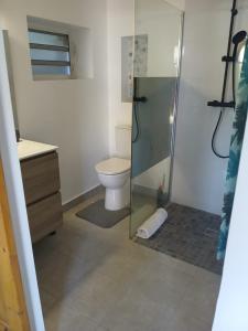 une salle de bain avec toilettes et douche en verre dans l'établissement Ti kaz morne marigot, à Vieux-Habitants