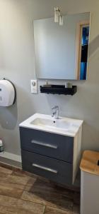 un bagno con lavandino e specchio di 2p plein centre d'Antibes, 500m Bord de Mer a Antibes