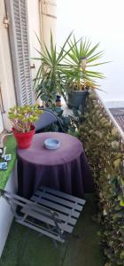 un tavolo viola su un balcone con piante in vaso di 2p plein centre d'Antibes, 500m Bord de Mer a Antibes