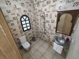 une salle de bain avec toilettes, lavabo et miroir dans l'établissement Artistic Flat by Luxor Temple & Ancient Souq, à Louxor 9 autres photos