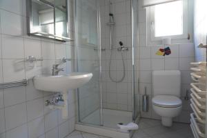 a bathroom with a shower and a sink and a toilet at Fee-Rien in Saas-Fee