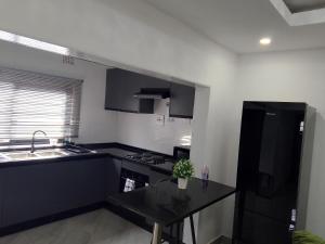 een zwart-witte keuken met een wastafel en een aanrecht bij T & M Apartments in Ndola