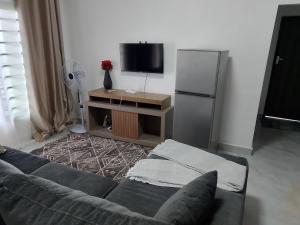 een woonkamer met een bank en een koelkast bij T & M Apartments in Ndola