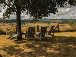 a group of chairs and a table under a tree at Lapeyrouse Bonnet in Montmirail +10 photos