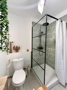 a bathroom with a toilet and a glass shower stall at Studio vue mer avec un accès plage à 1 min in Le Moule