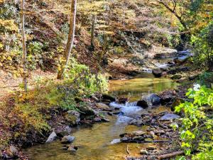 Příroda nedaleko prázdninového domu