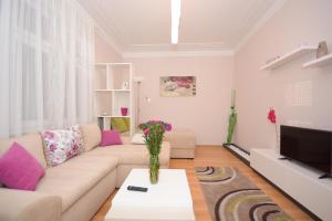 - un salon avec un canapé et une télévision dans l'établissement Apartment Mina, à Belgrade