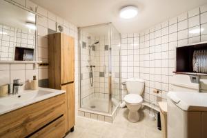 une salle de bain avec toilettes, douche et lavabo dans l'établissement Cozy Old Town Suite - Quiet and Central Cocoon, à Sélestat