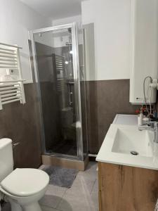 ein Badezimmer mit Dusche, Toilette und Waschbecken in der Unterkunft River City - Joli 2 pièces, étage élevé, vue sur port et mer, calme et proche des plages in Mauguio