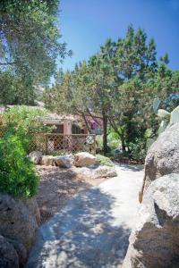 ポルト・チェルボにあるVilletta Il Mirtoの岩と木の庭園