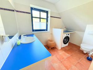 een badkamer met een blauwe wastafel en een toilet bij Ferienhaus Arkona Putgarten in Putgarten