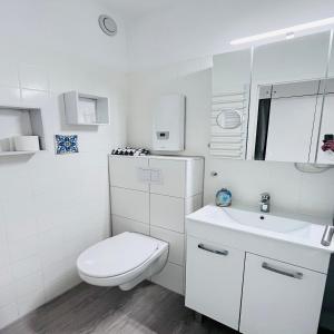 un bagno bianco con un water e un lavandino di Ferienwohnung Kajüte 7211 Marina Wendtorf a Wendtorf