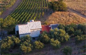 an aerial view of a house in a vineyard at Beautiful Home In Bol in Bol