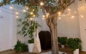 a tree with lights in a room with potted plants at Stunning Home In Piles With Wifi in La Playa de la Torre de Piles +17 photos