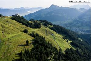 a green hill with trees on it with mountains in the background at Löw Chalet Suite 3 in the heart of Kitzbühel by 360 Estates in Kitzbühel +2 photos