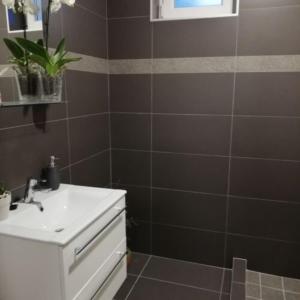 a bathroom with a white sink and a mirror at Téged Vártunk Vendégház in Bakonyoszlop