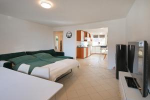 ein Wohnzimmer mit einem Bett und einem Fernseher in der Unterkunft Lepold's Balkenzauber - Sasbachwalden zentral, mit Kamin und Weinbergblick, für 6 Personen, familienfreundlich in Sasbachwalden