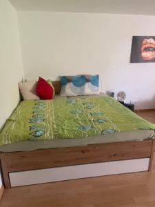 a bedroom with a bed with a green comforter at Apartamento en el centro de rorschach in Rorschach