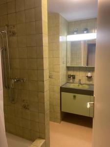 a bathroom with a sink and a shower at Apartamento en el centro de rorschach in Rorschach