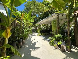 un jardin avec un tas de plantes sur un trottoir dans l'établissement Thilavaru Inn, à Dhangethi 14 autres photos