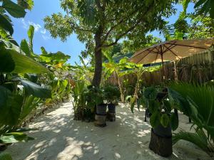 Zahrada ubytování Thilavaru Inn