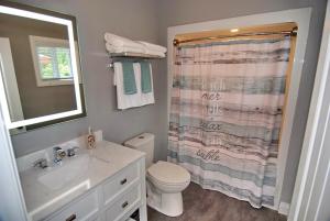 a bathroom with a sink and a toilet and a shower at Shores of Erie Guest House in Essex +19 photos