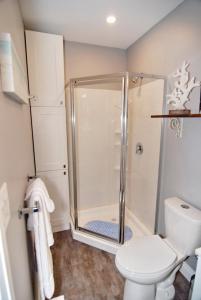 a bathroom with a shower and a toilet at Shores of Erie Guest House in Essex