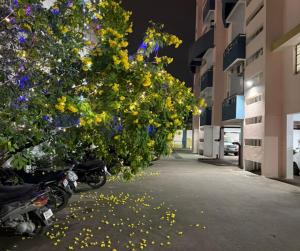 een rij motorfietsen geparkeerd op een straat met bomen bij 3BHK Flat Rudrashakti Enclave Nagpur in Nagpur +10 foto's