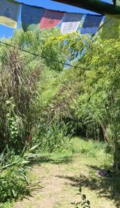 Κήπος έξω από το Diciembra +2 φωτογραφίες