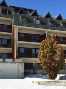 un bâtiment avec un arbre devant lui dans l'établissement Baita Arancio By DomusExtra, à Pescocostanzo