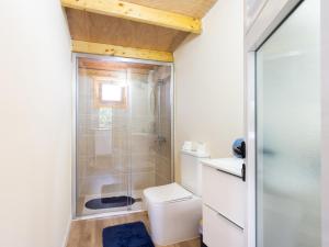 a bathroom with a shower and a toilet at Live Villa Adrian in Caleta de Interián +10 photos